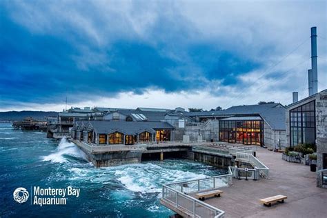 hotels near monterey bay aquarium.